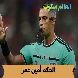 السيرة الذاتية لـ الحكم المصري أمين عمر