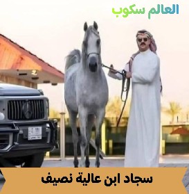 السيرة الذاتية لـ ابن عالية نصيف